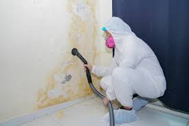 Best Forensic Mold Investigation  in Springfield, OR